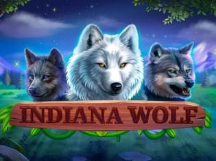 Indiana Wolf icon
